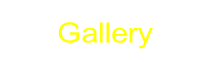 Gallery.